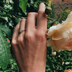 Diamond Secret Garden Halo Ring