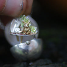 Peter Rabbit Allotment Locket Necklace