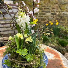 A Garden Studio Creative Combo