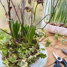 A Garden Studio Creative Combo