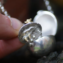 Peter Rabbit Allotment Locket Necklace