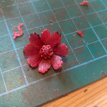 A Garden Studio Creative Combo